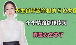 真实爆料董洁视频播放,真实画面引发网友热议